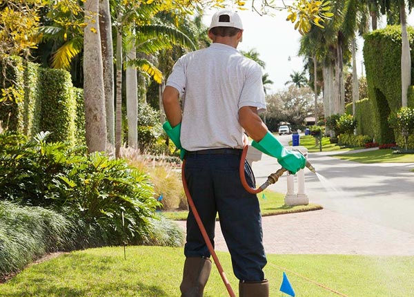 About Elkland PA Pest Control